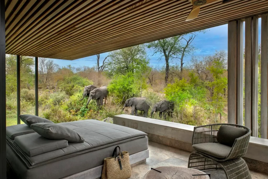 Cheetah Plaints Suite at Sabi Sands Game Reserve