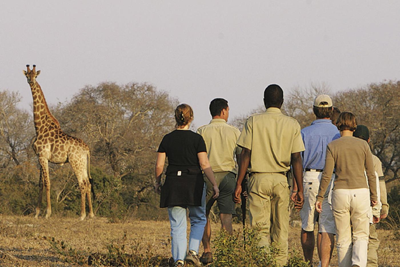 Informative bush walks (Copy) Walking Safari at Sabi Sands Game Reserve