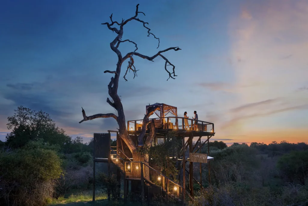 Chalkley Treehouse under the Stars