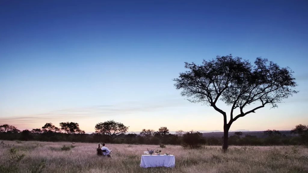 Night Safari at Londolozi Game Reserve
