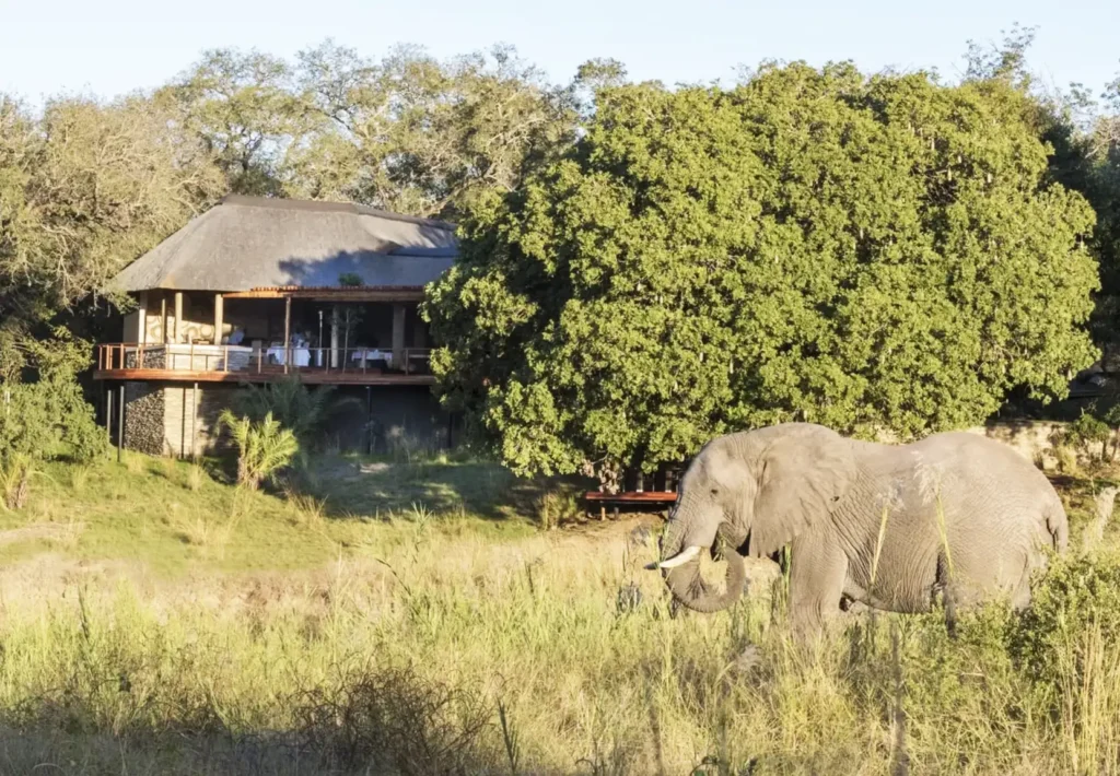 Dulini River Lodge: The Ultimate Couples' Escape (Only 6 Suites) - Sabi Sands Game Reserve