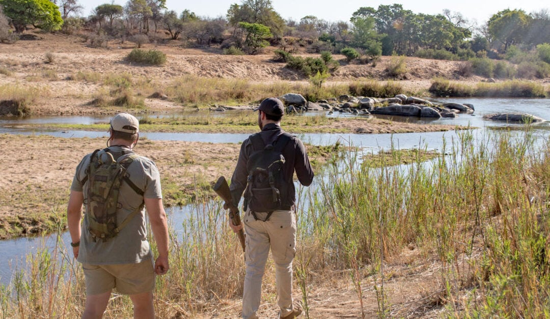 Walking Safari Sabi Sands: The Ultimate Bush Walk Adventure