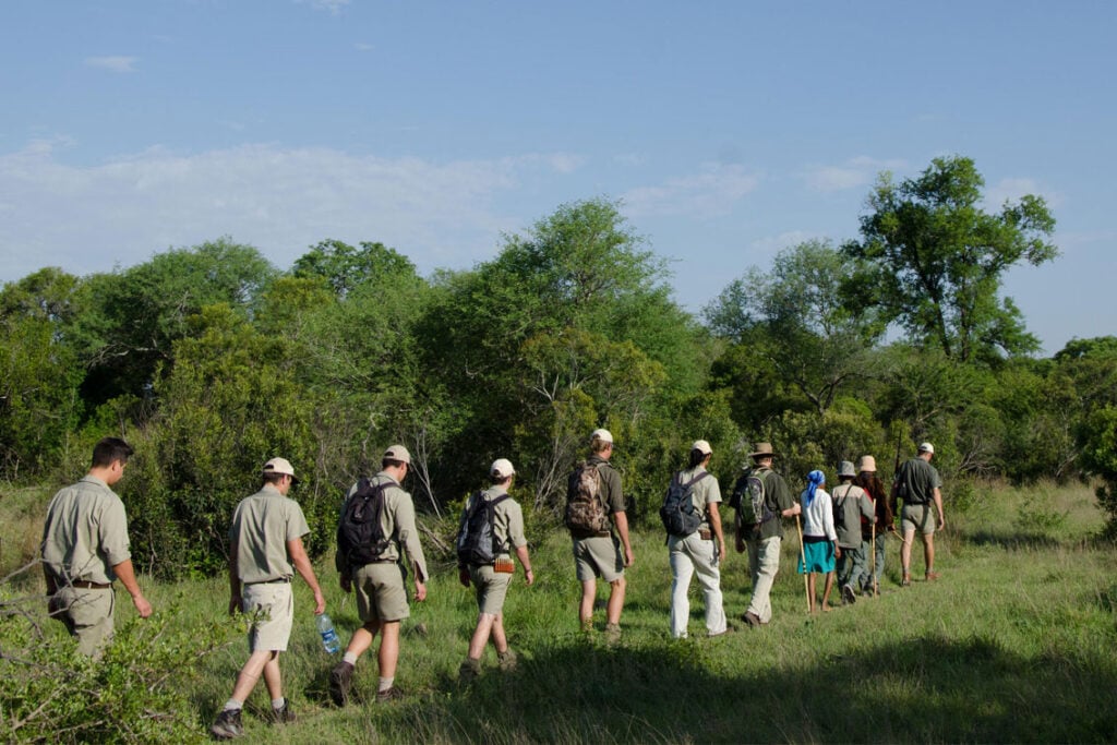 Multi-Generational Safari: Why Sabi Sabi Bush Lodge Works for Grandparents & Grandkids - Sabi Sands Game Reserve
