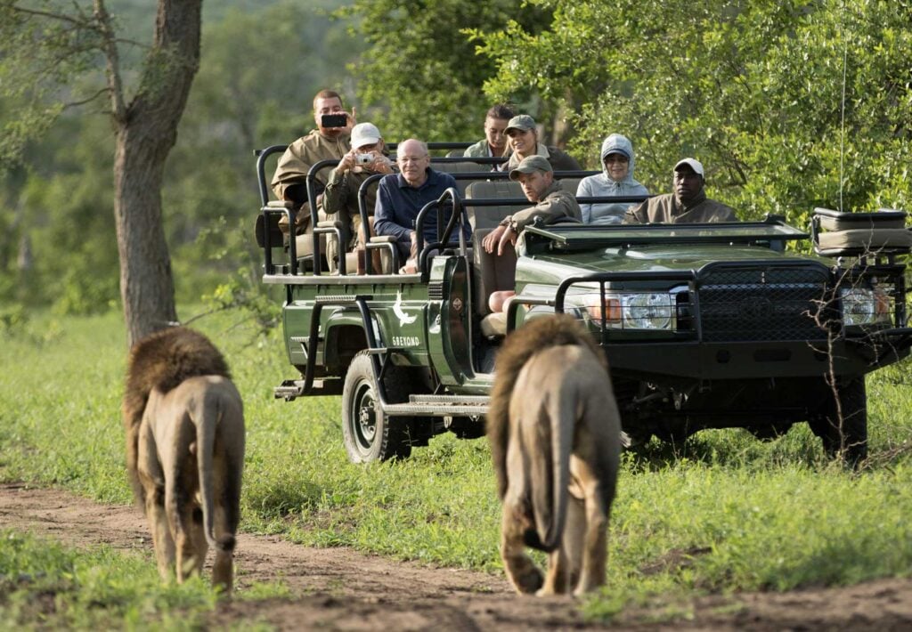 Sabi Sands Safari Cost