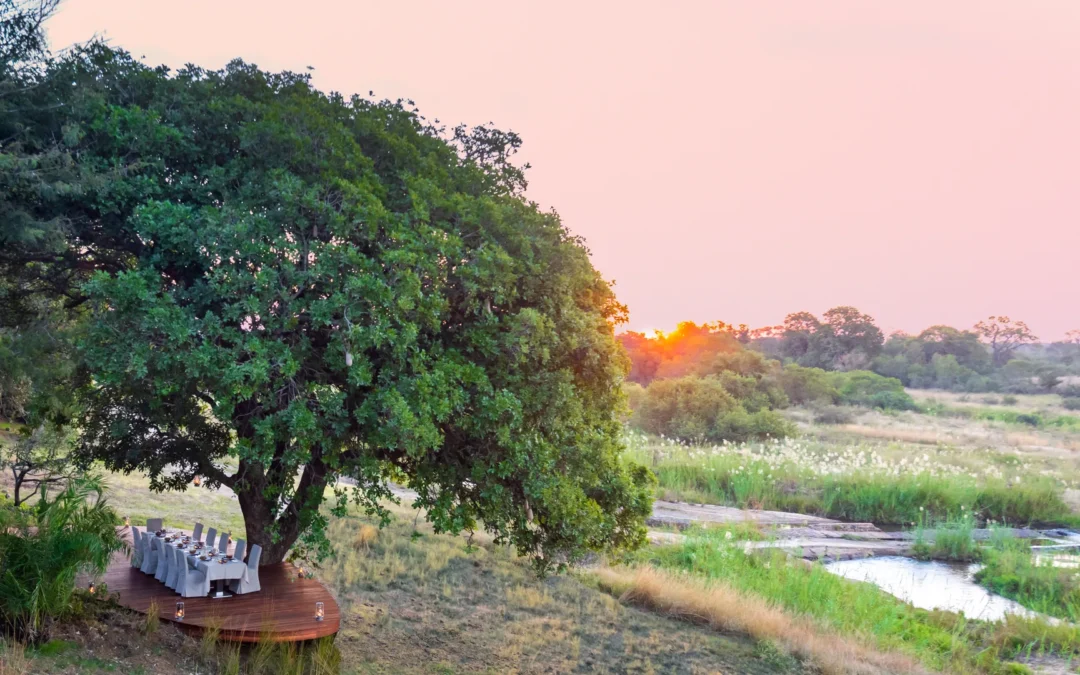 Best Lodges in Sabi Sands Game Reserve — Expert-Ranked Guide for 2026