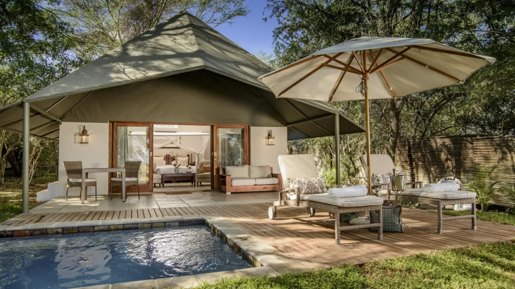 Best Lodges in Sabi Sands Game Reserve — Expert-Ranked Guide for 2026 - Sabi Sands Game Reserve